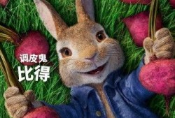 圈内人爆料桃浦兔王,揭秘网红背后的神秘故事