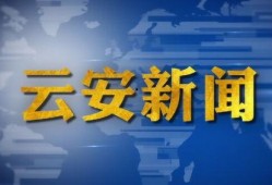 云安新闻网友爆料,云安新闻最新动态，揭秘事件背后真相