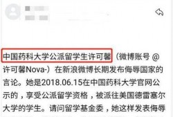 许可馨最新信息爆料,揭秘其背后惊人内幕