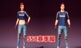 和平精英ss8最新军需爆料,和平精英新军需爆料，神秘装备引期待