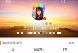 爆料娱乐圈网红小说免费阅读,免费阅读，揭秘网红幕后故事