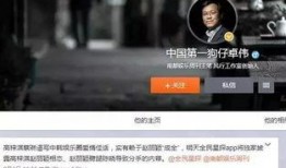 狗仔爆料网络暴力视频,揭开网络暴力的黑暗面
