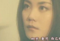 娱乐吃瓜酱石榴视频,娱乐吃瓜酱带你揭秘娱乐圈幕后故事